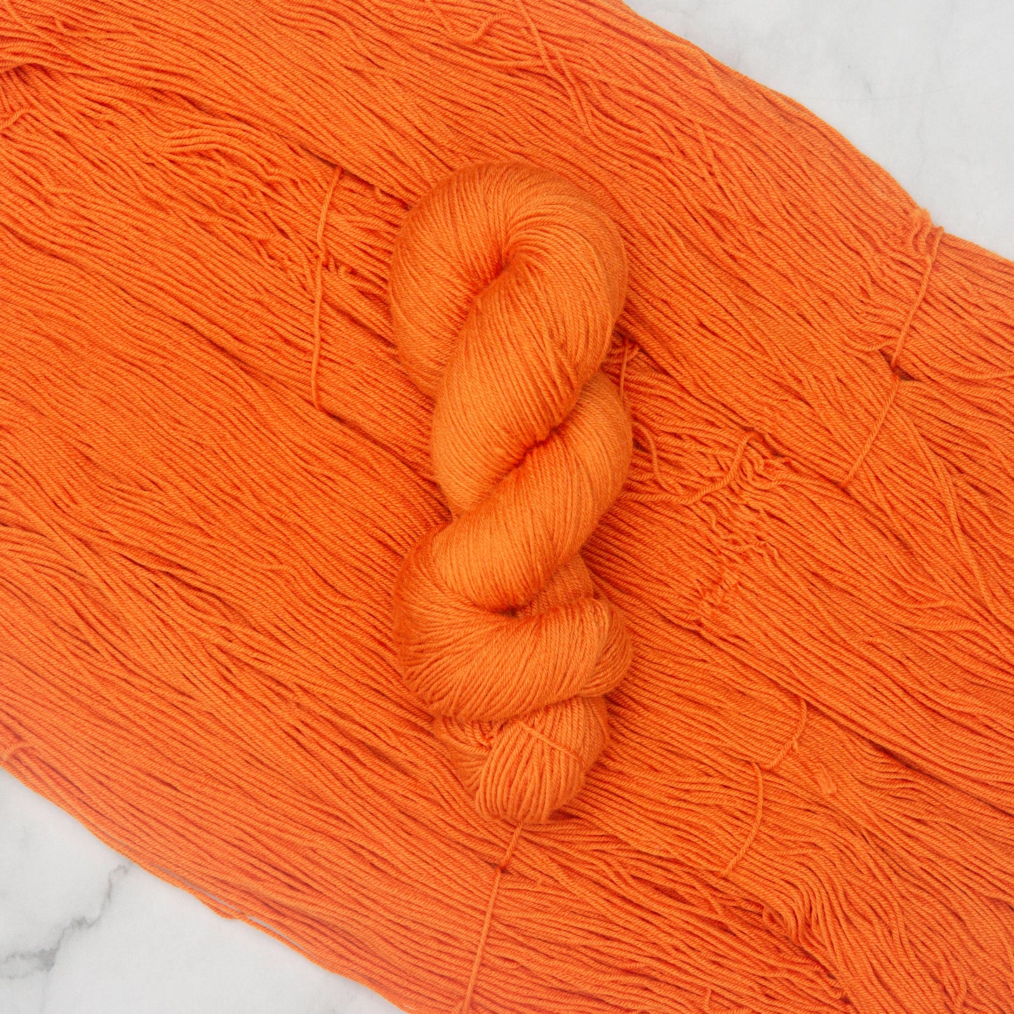 Tulip Orange