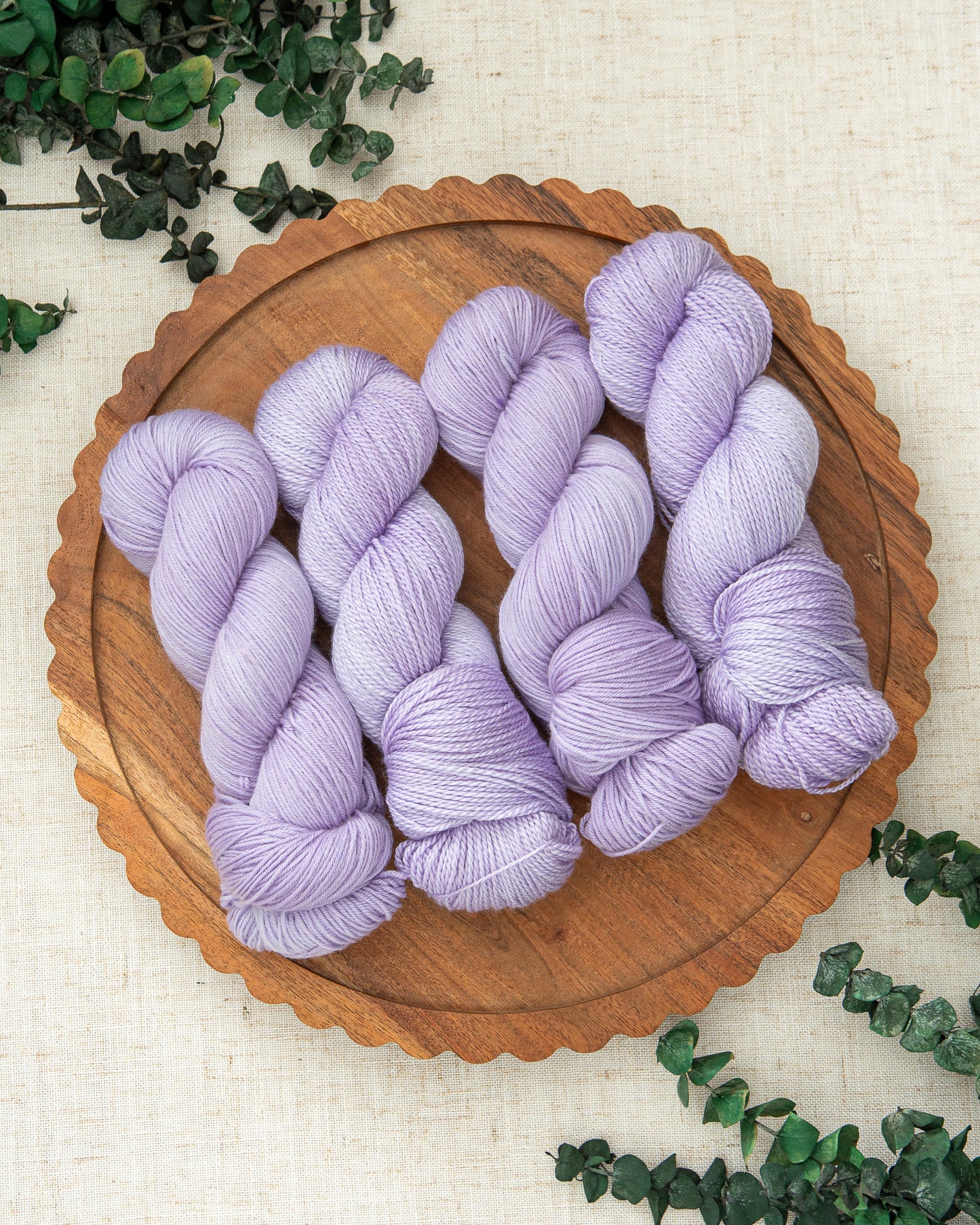 Lavandula