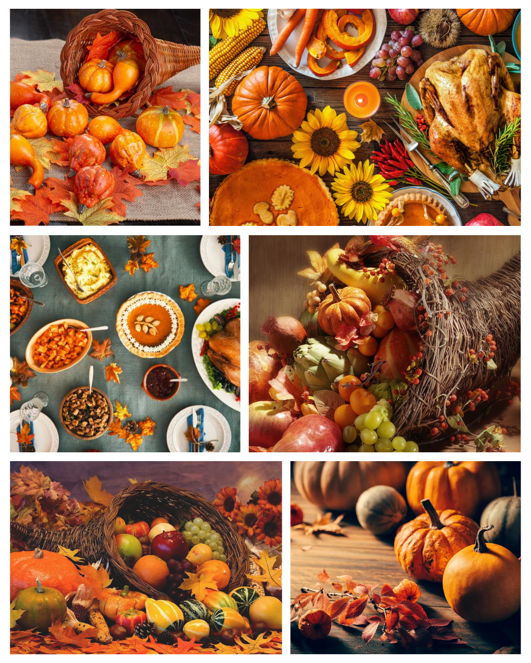 Cornucopia
