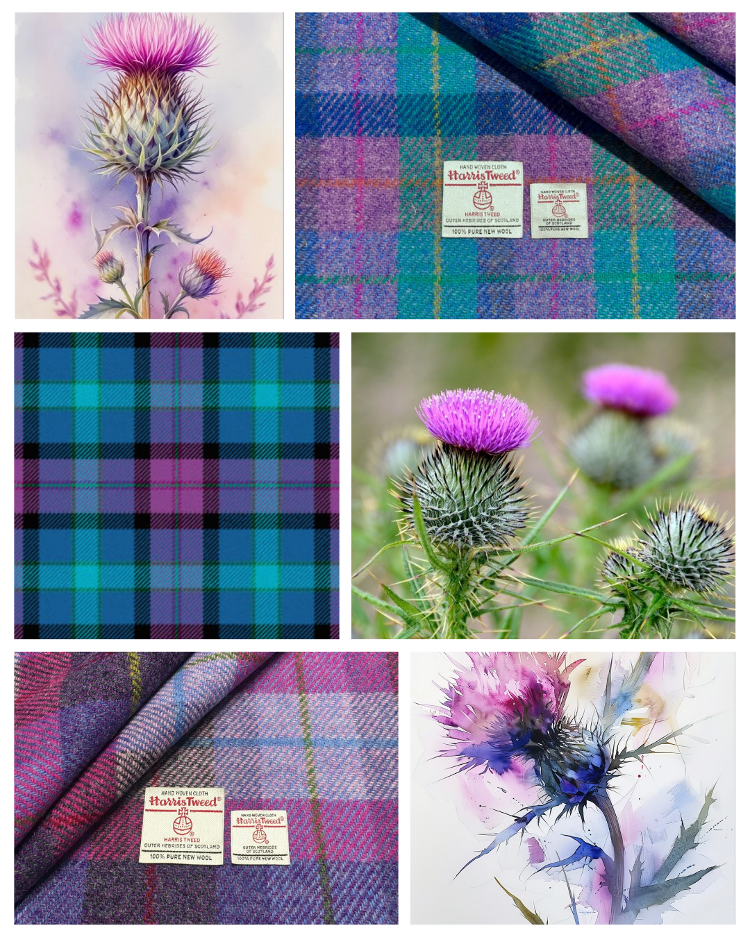 Tartan